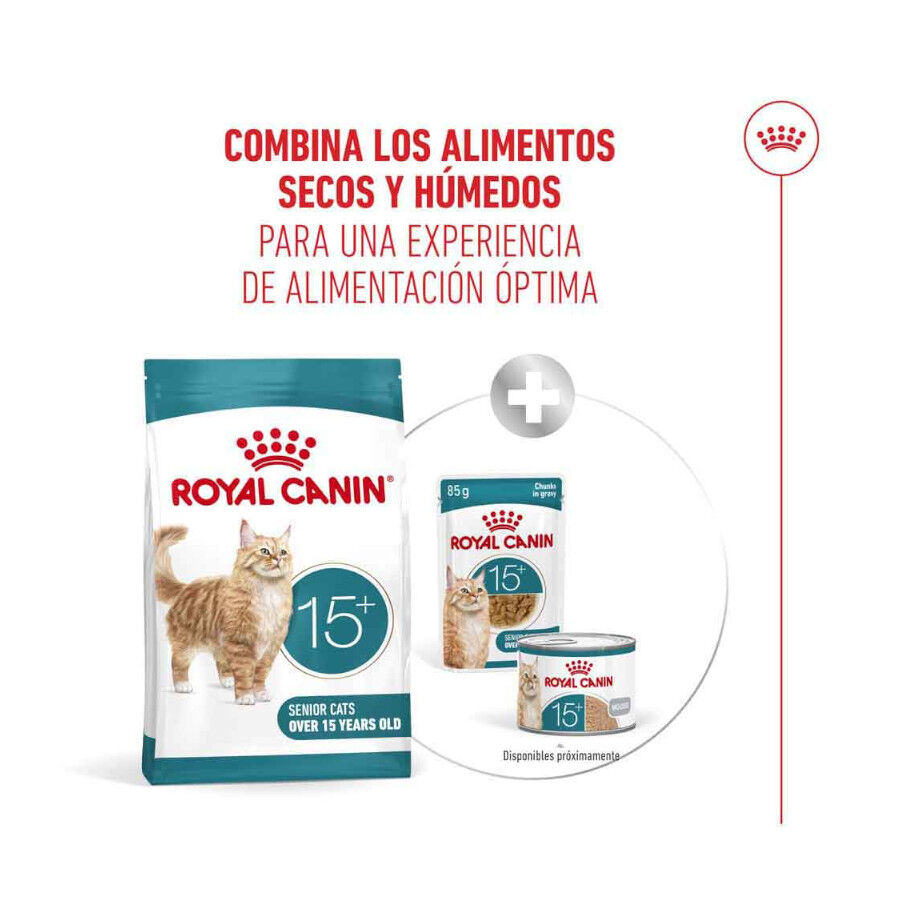 400 g Royal Canin Ageing +15 pienso para gato senior, , large Imagen numero 11