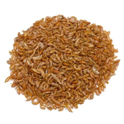 Alimento Gammarus para tortugas de agua thumbnail