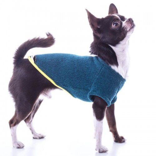 Jersey Nun Freeze para perros color Azul azafata, , large Imagen numero 1