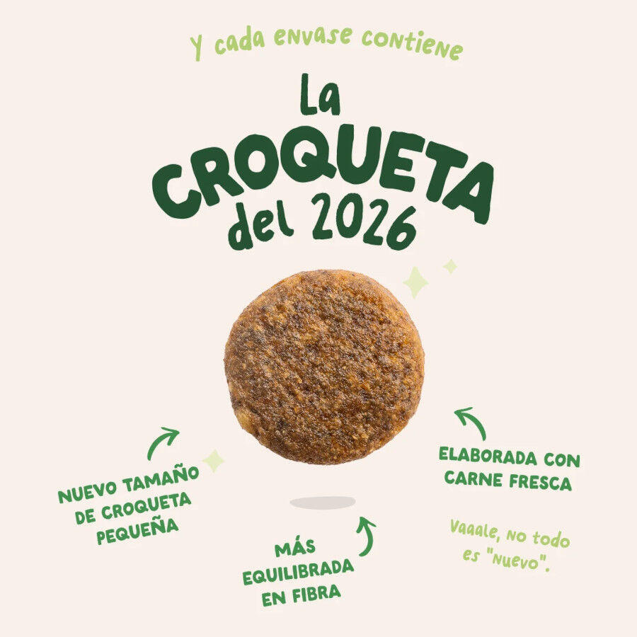 3 kg Edgard & Cooper Pienso Cordero para perros adultos mini, , large Imagen numero 2