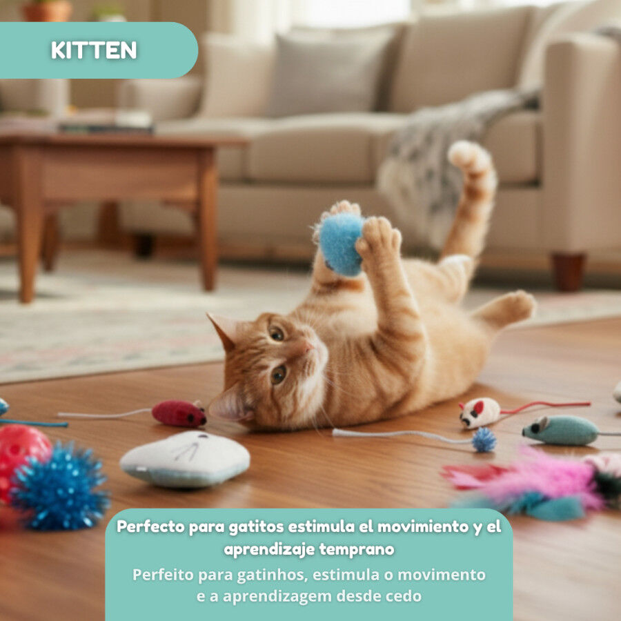 Tootoy! Caja de Juguetes Variados para gatitos, , large Imagen numero 10