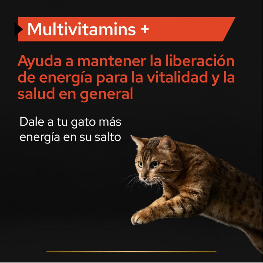 Pro Plan Multivitamins + para gatos thumbnail