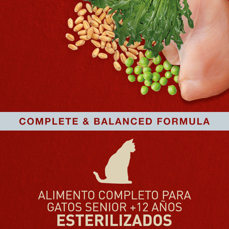 2.5 kg Catxtreme Senior Sterilised Pollo y Guisantes pienso para gatos, , large Imagen numero 3