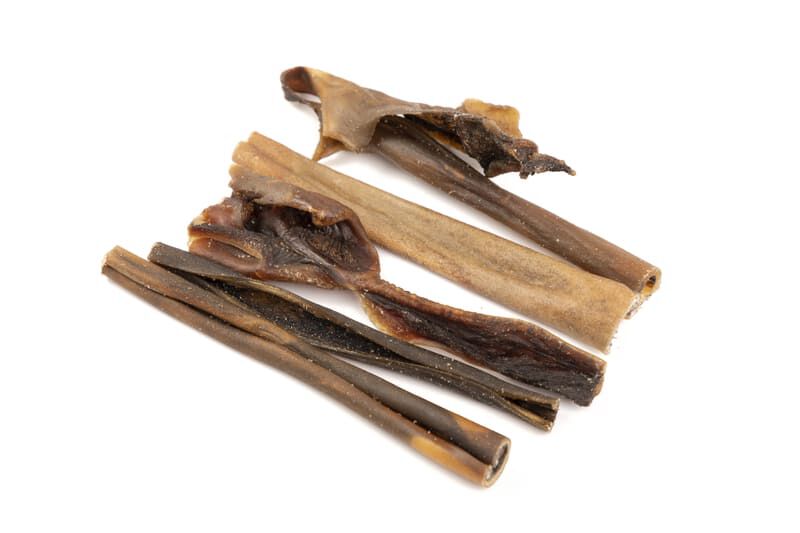 BIMORDISCOS Piel de camello para perros, , large Imagen numero 2