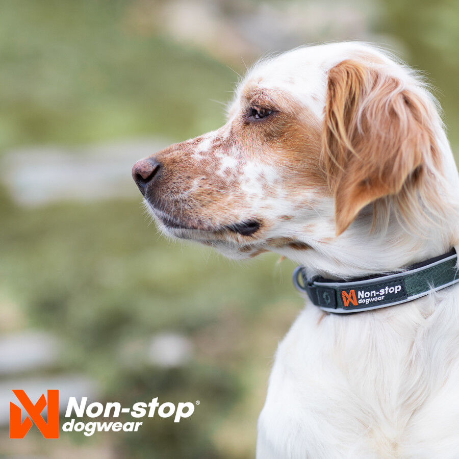 Non-stop dogwear Roam Collar Verde para perros, , large Imagen numero 2
