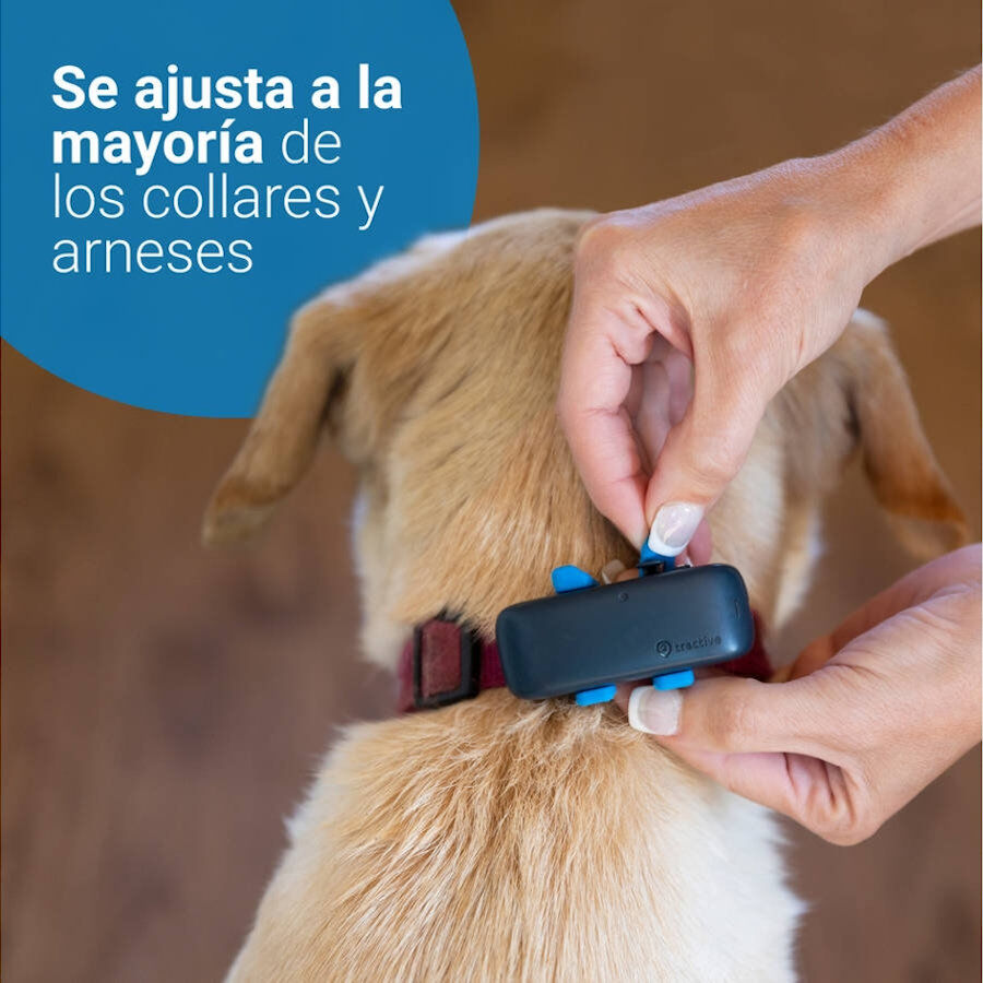 Tractive Localizador GPS color azul para perros, , large Imagen numero 6