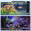 Nobleza - Filtro para Acuario 50 L, Filtro Acuario Interno con Carbón Activado de Flujo 230 L/H, Filtros Internos para Pecera 5W, Ajustable Silencioso para Acuarios, , large indicador imagen numero 2