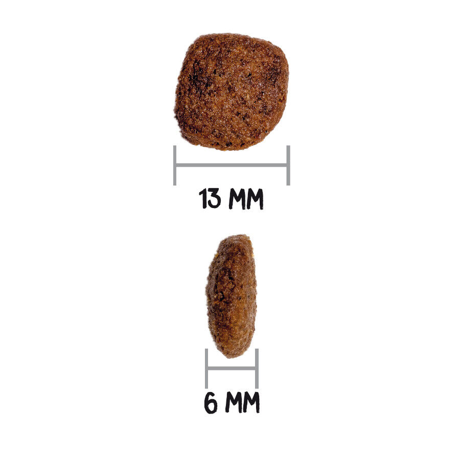 3 kg Ownat Mini Adult Ultra Pollo y Pavo pienso para perros, , large Imagen numero 3