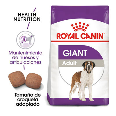 Royal Canin Adult Giant pienso para perros  