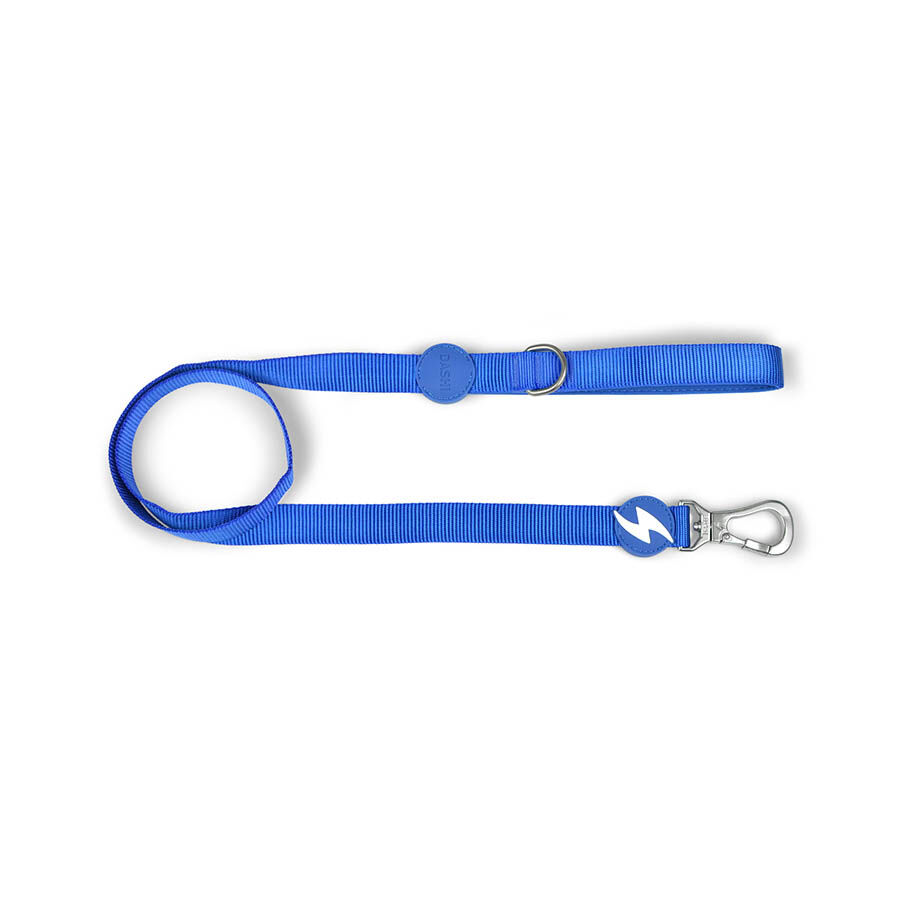 Correa de nylon para perro color Azul, , large Imagen numero 1