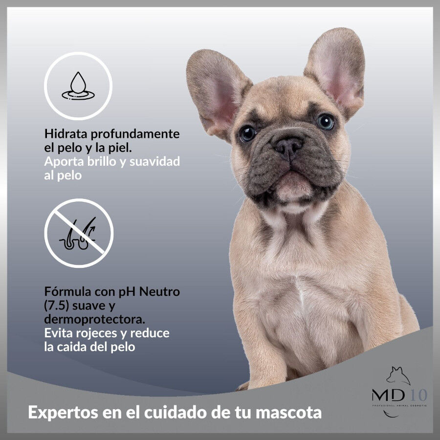 MD-10 Champ&uacute; Hidratante y Dermoprotector para Bich&oacute;n Malt&eacute;s, , large Imagen numero 2