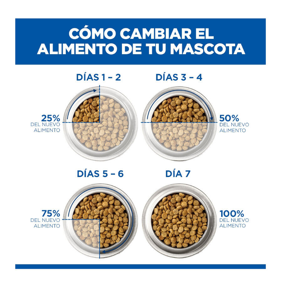 85 g Hill's Science Plan Adult Ternera Sobre en Salsa para gatos, , large Imagen numero 9