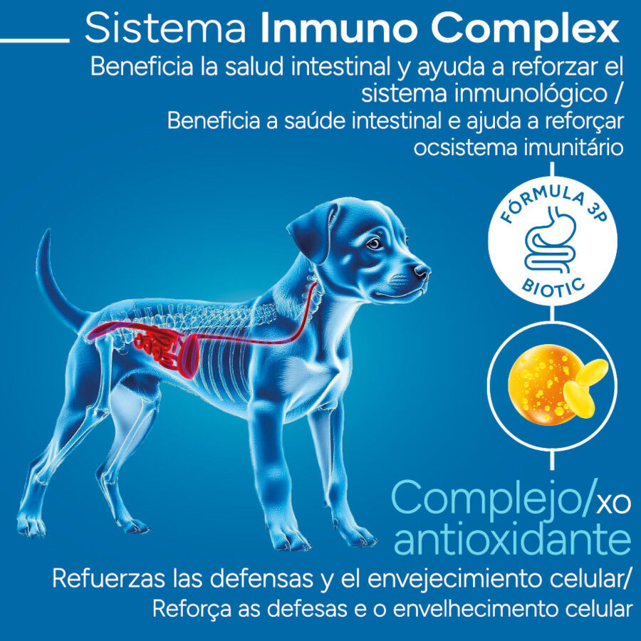 Criadores Cient&iacute;fico Medium Maxi Pienso Pollo para cachorros, , large Imagen numero 3