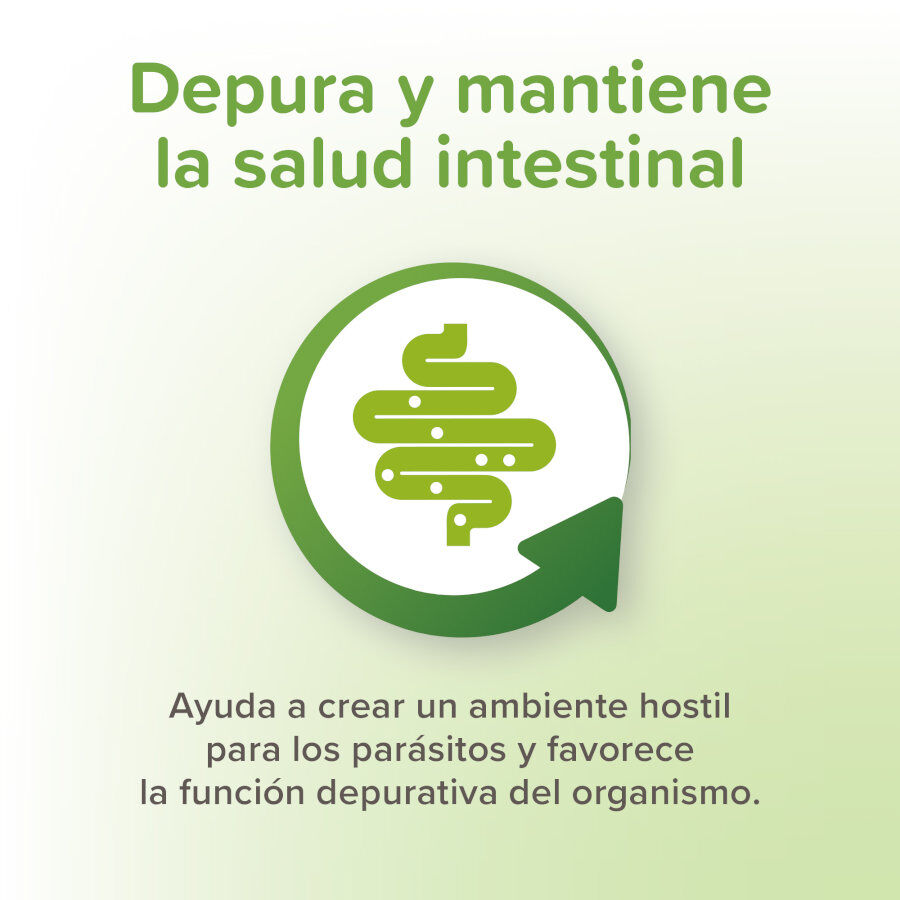 Beaphar VERMIpure Repelente Interno Natural en comprimidos para perros peque&ntilde;os y cachorros, , large Imagen numero 5