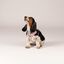 Petite Mafalda Arnés Ajustable Estampado Flores rosas para perros, , large indicador imagen numero 2