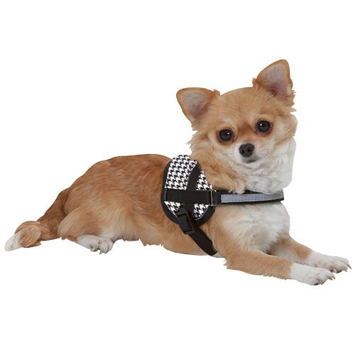 Arn&eacute;s para perros, especial para razas peque&ntilde;as, dise&ntilde;o moderno, Teeny-Weeny, Color Rosa, talla XS-S, , large Imagen numero 3