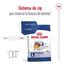 15 kg Royal Canin Maxi Adult pienso para perros, , large indicador imagen numero 3