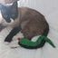 Juguete serpiente para gato de fieltro de lana natural Ophi, , large indicador imagen numero 2