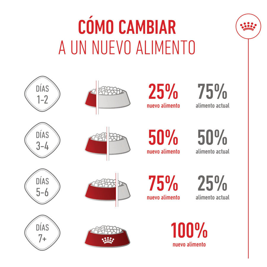 15 kg Royal Canin Starter Puppy Giant Pienso para perros, , large Imagen numero 10