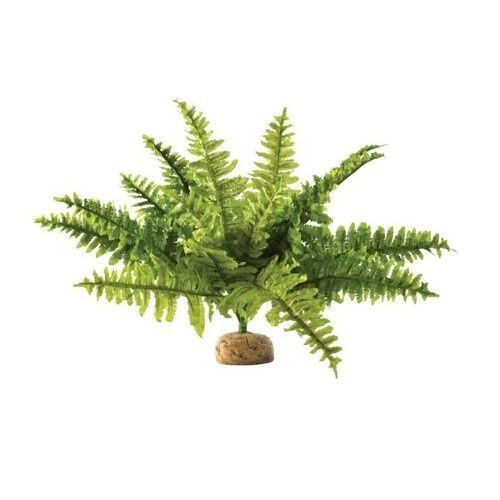 Exo Terra helecho boston para reptiles o anfibios thumbnail