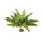 Exo Terra helecho boston para reptiles o anfibios, , large indicador imagen numero 1