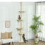 PawHut Árbol para Gatos de Suelo a Techo 225-275 cm Árbol Rascador para Gatos Torre para Gatos con Múltiples Plataformas Sistema de Antivuelco Crema, , large indicador imagen numero 2
