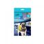 All for paws chaqueta k-nite reflectante para perros, , large indicador imagen numero 1