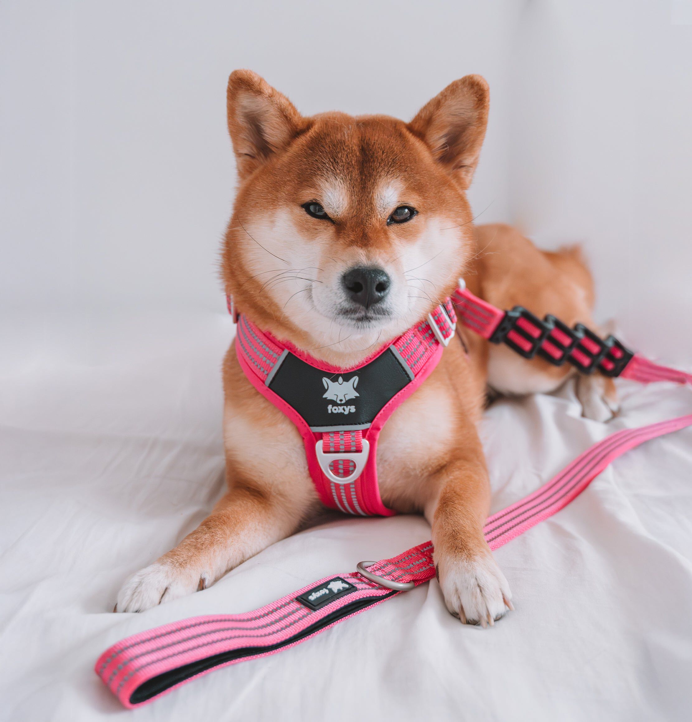 Correa CountryFox&trade; Pro &bull; Rosa, , large Imagen numero 2