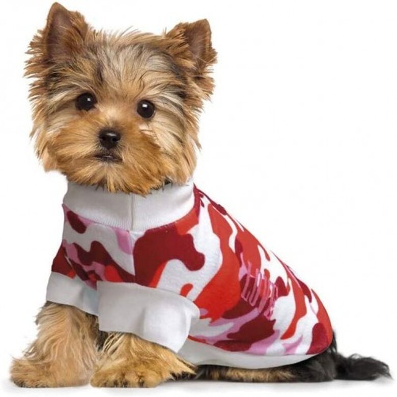 Chic & Love sudadera camuflaje para perros, , large image number null