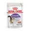 85 g Royal Canin Feline Sterilised Salsa sobres para gato, , large indicador imagen numero 1