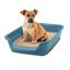 Bandeja WC para gatos "Junior Toilet" apto para todo tipo de gatos, con bandeja de entrada, material duradero, , large indicador imagen numero 2