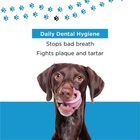PETUCHI spray dental bio olor a canela para perros, , large image number null