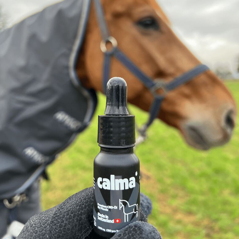 CALMA CBD Aceite de CBD para Caballos thumbnail