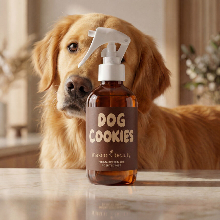 Masco Beauty Perfume galleta, coco y vainilla para perros, , large Imagen numero 3