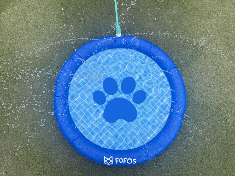 Piscina de Chapoteo para Perros, , large Imagen numero 3