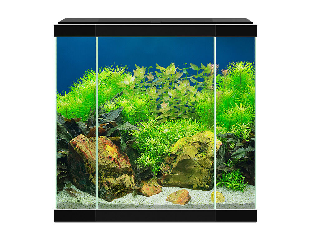 Aqua 30 Led Negro Ciano - Set completo con LED, Filtro y Consumibles, , large Imagen numero 2