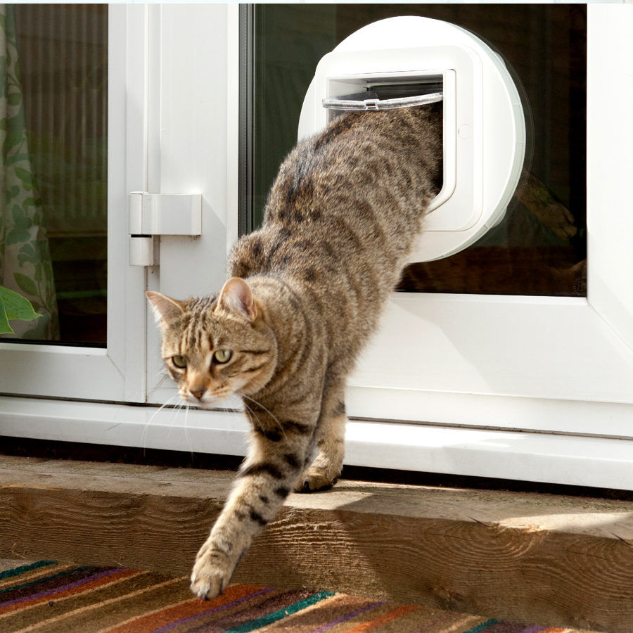 Sure Petcare SureFlap Puerta Autom&aacute;tica Blanca con Microchip, , large Imagen numero 4