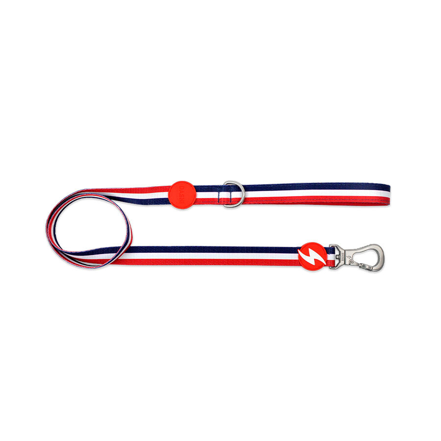 Dashi stripes correa de poli&eacute;ster roja y azul para perros, , large Imagen numero 1