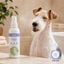 Bloob Colonia Refrescante Mel&oacute;n para perros, , large indicador imagen numero 7