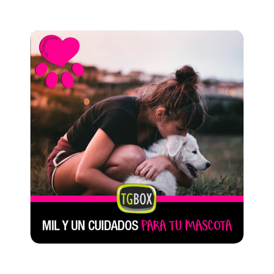 Mil y un cuidados para tu mascota, , large Imagen numero 1