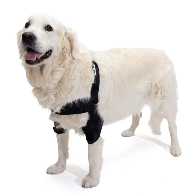Ortesis de Codo para Perros con Artritis de Codo, Higromas o Dislocación de Hombro