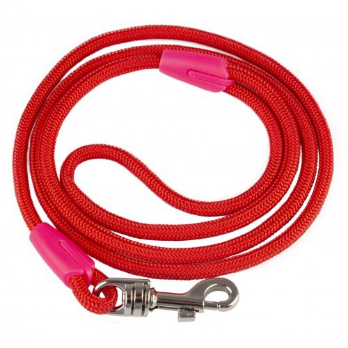 TK-Pet Ronda roja razas mini correa para perros Imagen numero 1