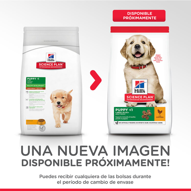 Hill's Science Plan Puppy large Pollo pienso para perros, , large image number null