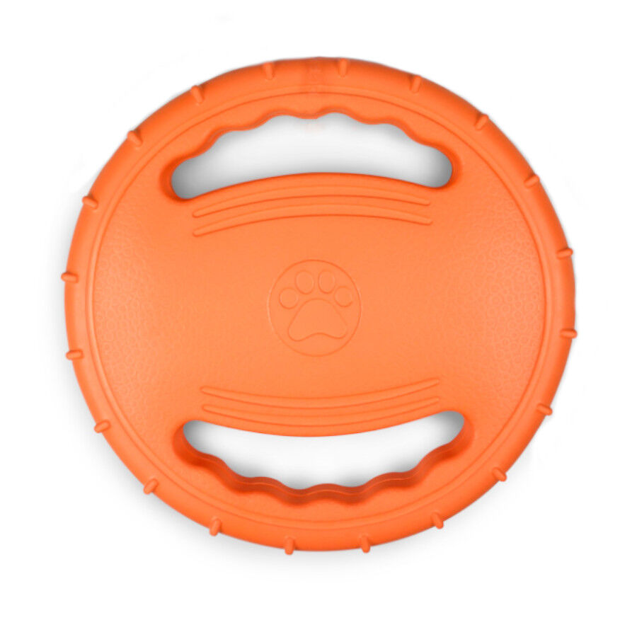 Summer Vibes Fresh Frisbee para perros, , large Imagen numero 1