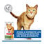 1.5 kg Hill's Science Plan Youthful Vitality Pollo pienso para gatos, , large indicador imagen numero 6
