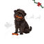 1 pack x 2 uds. Wonder Christmas D&uacute;o Huesos Piel Prensada Snacks para perros, , large indicador imagen numero 1