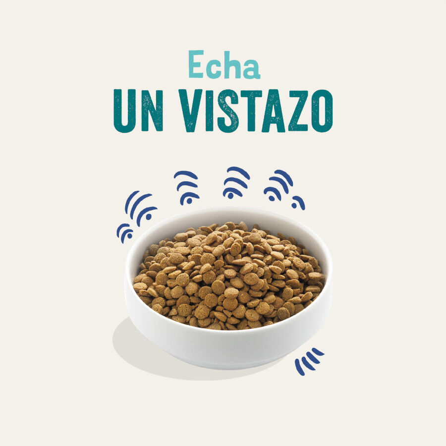 Edgard &amp; Cooper Adult Salmón pienso para perros thumbnail