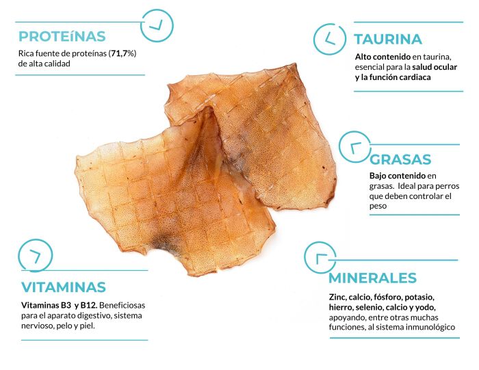 Alas de pota, , large Imagen numero 2