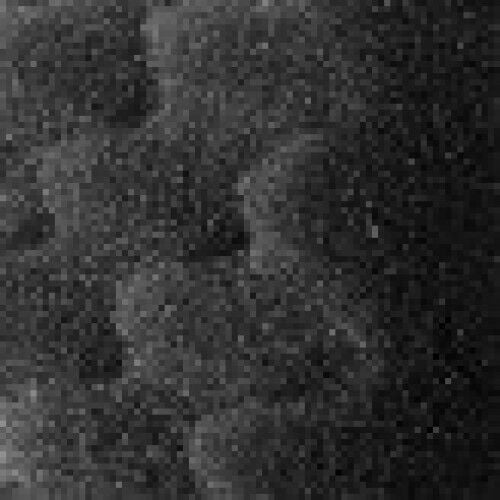 Filtro Fluval Bio-Foam pack de 6 meses modelo 407 thumbnail