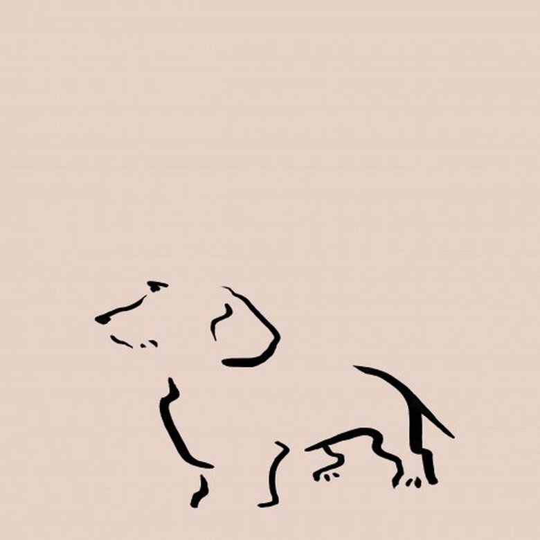 Ilustración de Terrier sin marco color Rosa, , large image number null